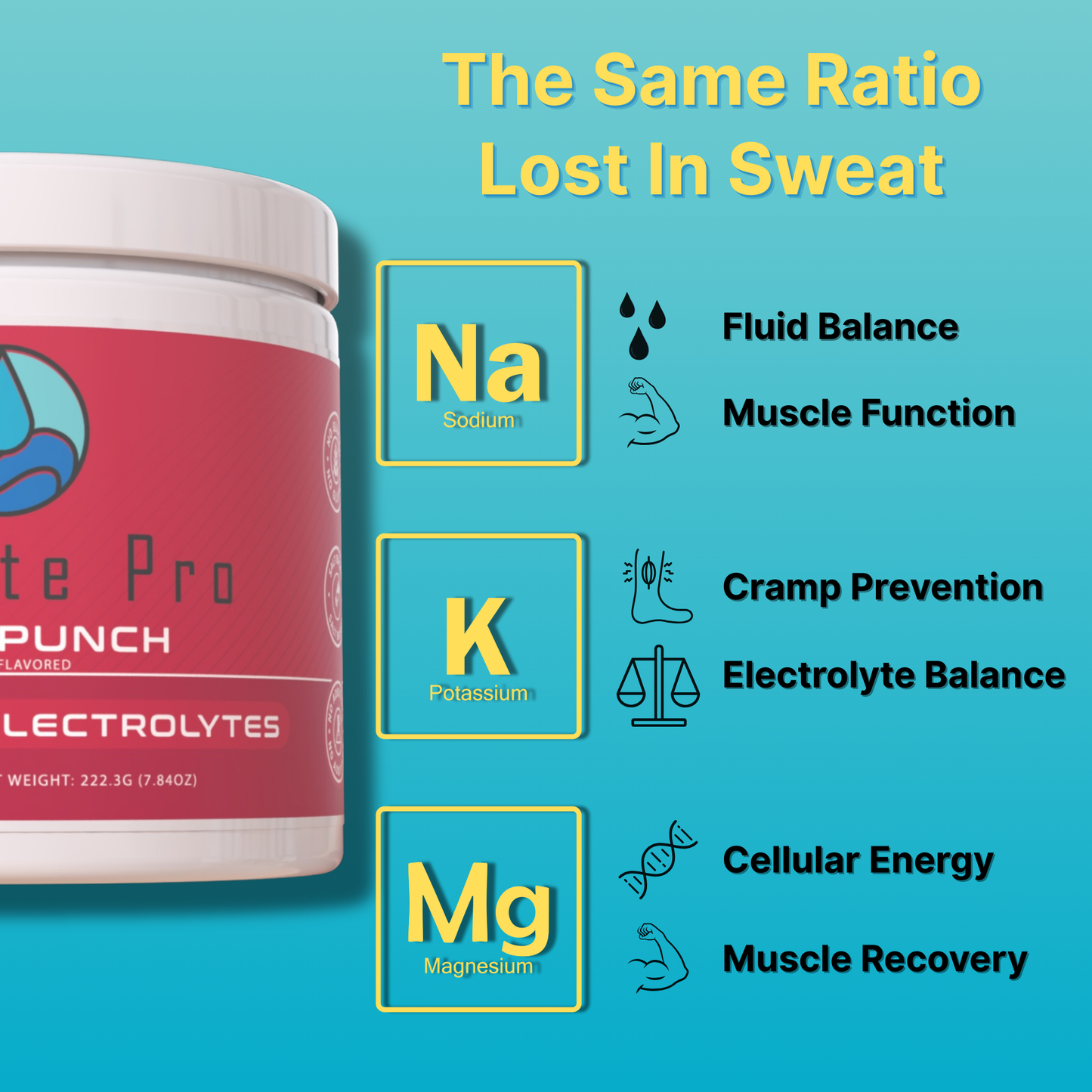 Hydrate Pro canister with infographic on sodium, potassium, and magnesium benefits for hydration.